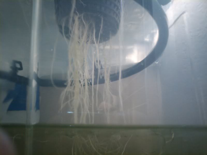 05-11-2010021202-1.jpg