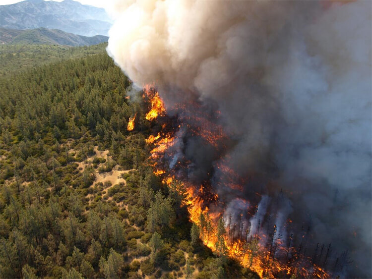 forest_fire.jpg