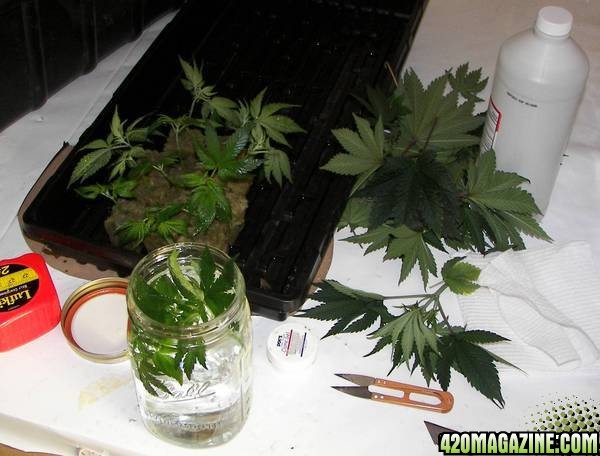 100_0632.JPG