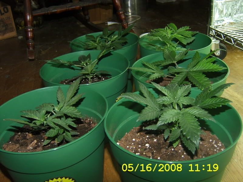 DCAM0179.jpg