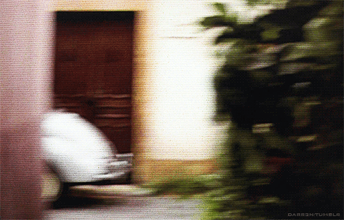 tumblr_mv12q6MJ4p1s2wge3o1_500.gif