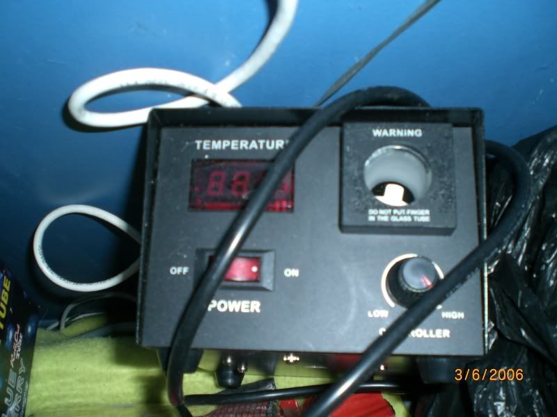 CIMG0656.jpg
