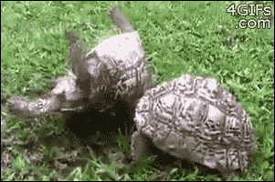 200.gif