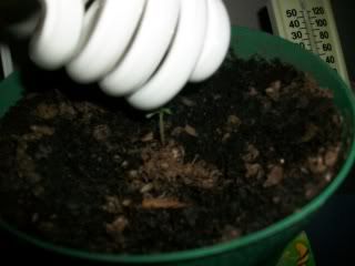 100_0495.jpg