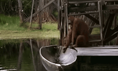 gifs_24.gif