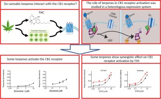 www.sciencedirect.com