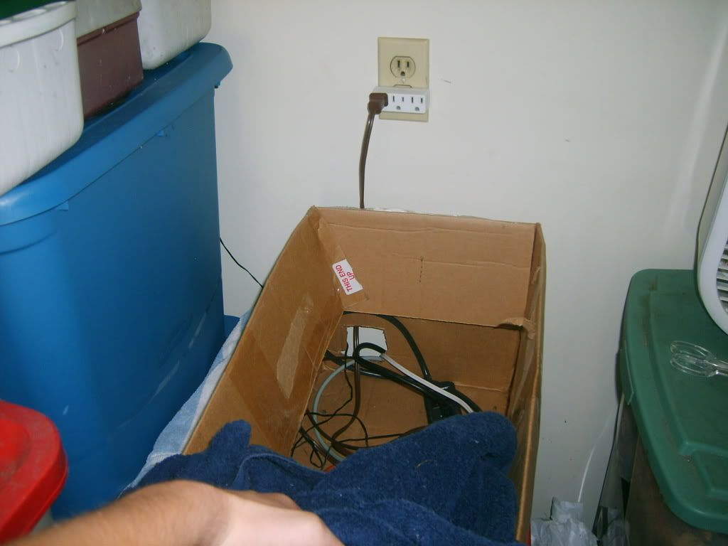 Picture023.jpg