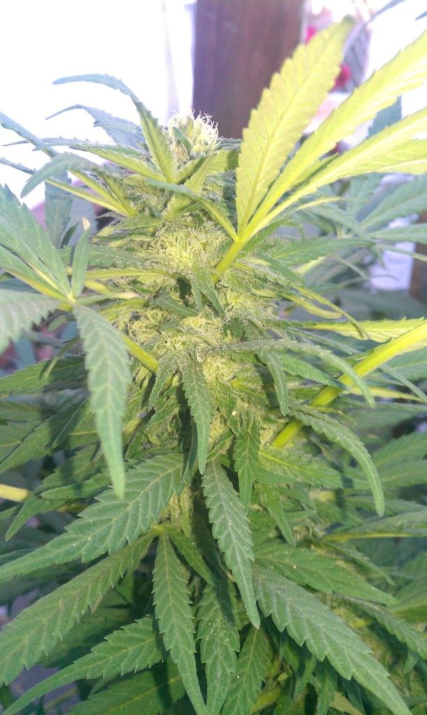 IMAG0399.jpg