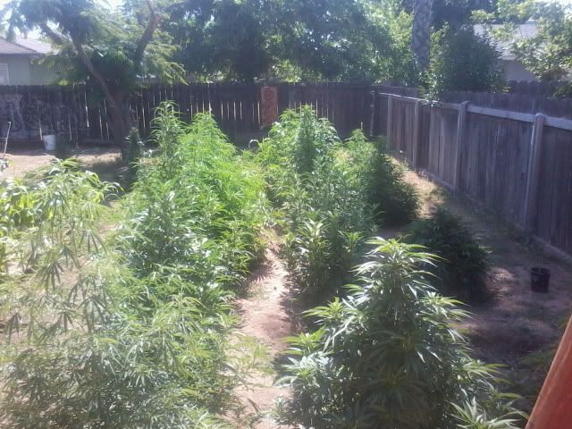 120527_004-1.jpg