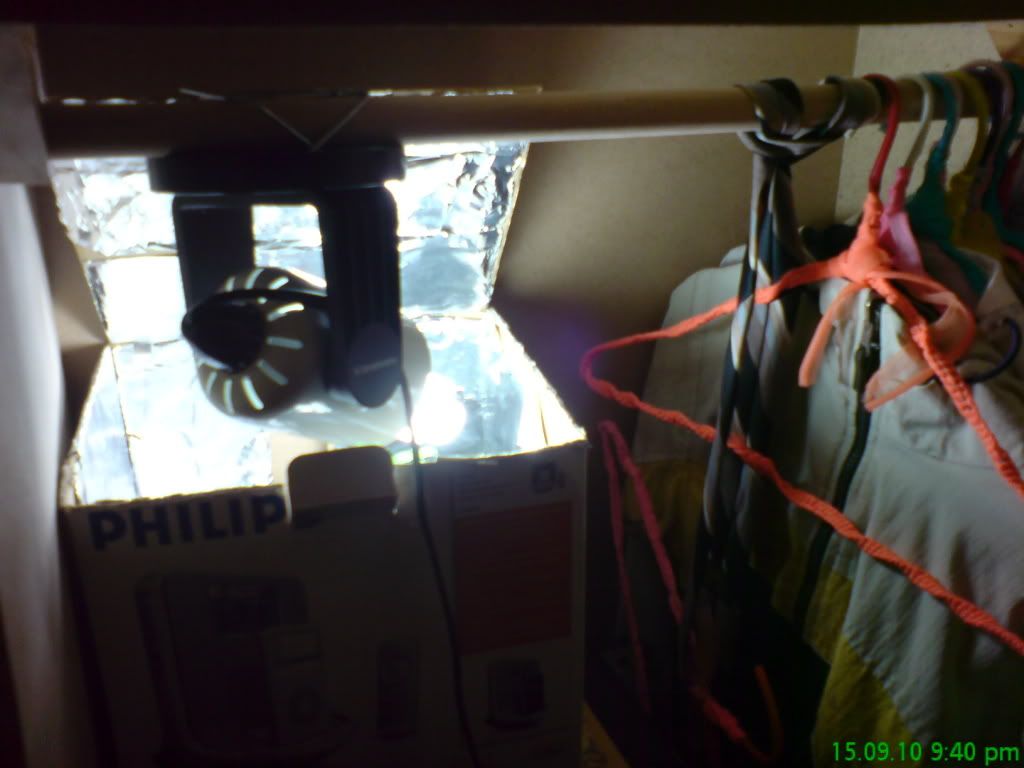 DSC00061.jpg