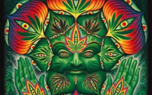 3_CannaBacchus_mar374int.jpg