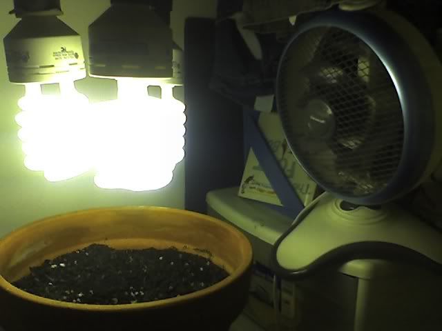 06-22-08_1552.jpg