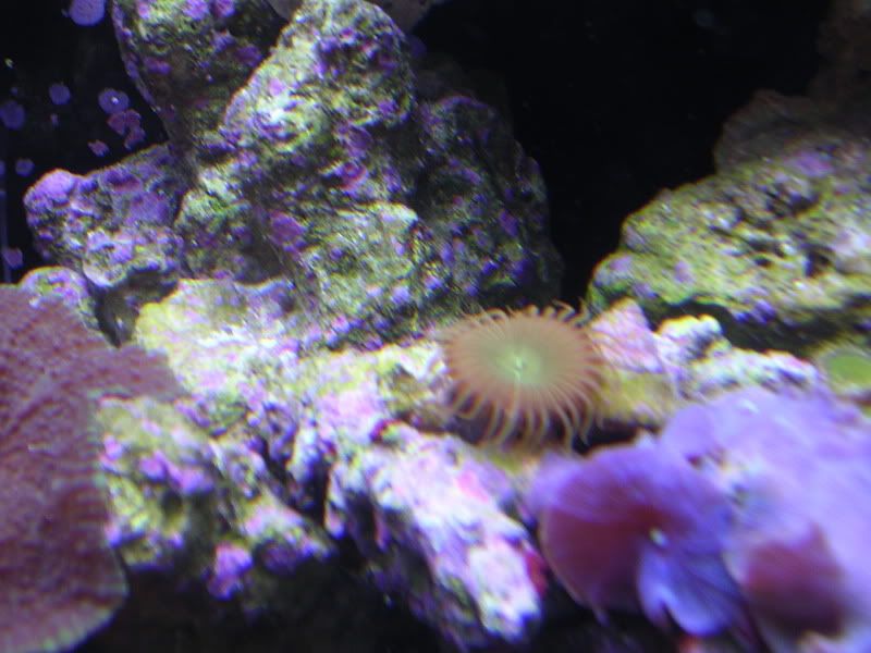 DSCN5873.jpg