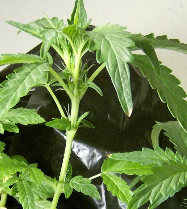 cropped.jpg