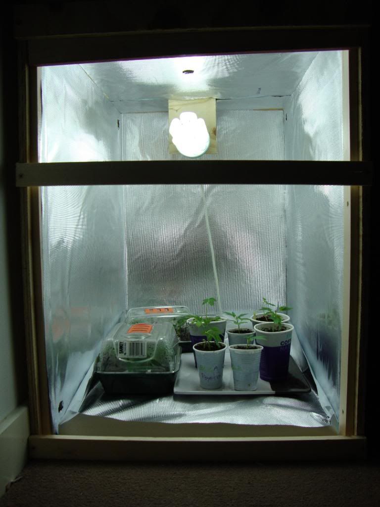 veg014.jpg