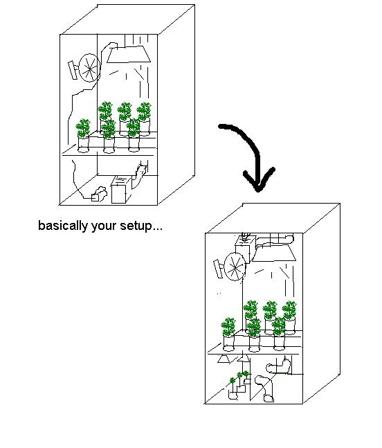 room.jpg
