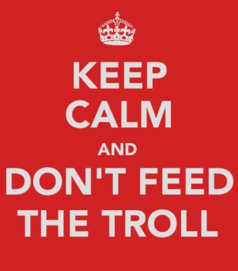 tumblr_mct68zuicD1r4iq8qo1_500.jpg