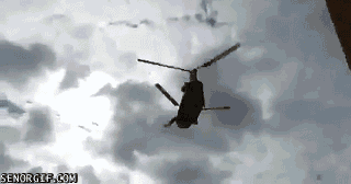 gifs_06.gif