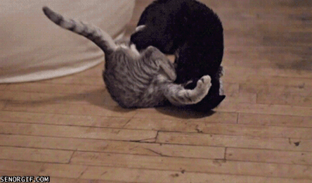 source.gif