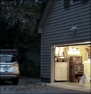 tumblr_mv3mzjo18e1qdlh1io1_400.gif