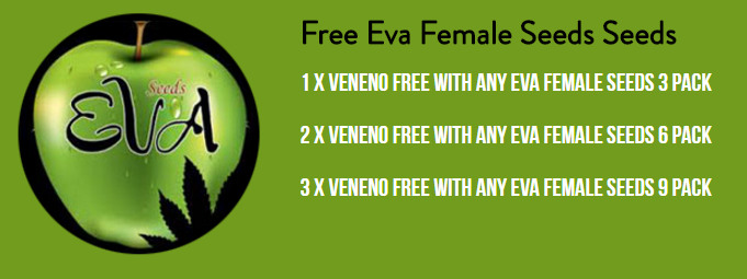Eva Seeds Veneno Promo.png