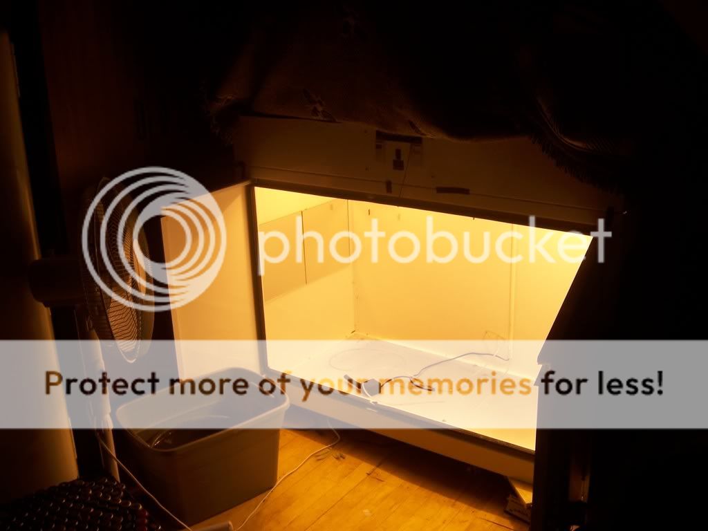 producerempty.jpg