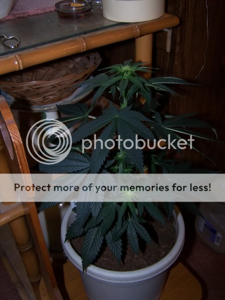 100_4060.jpg