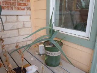 DSCN0843.jpg