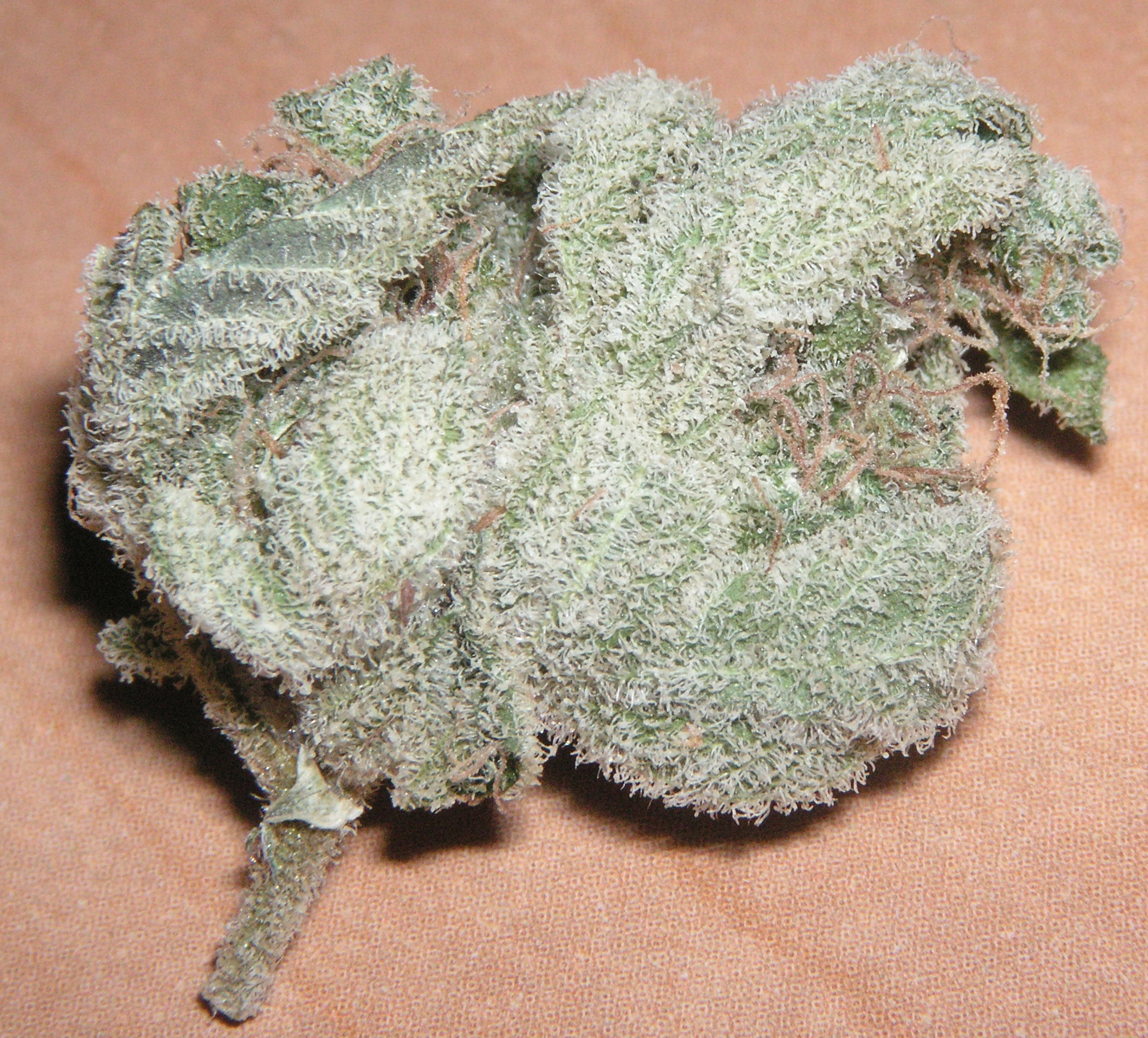 White_Widow.jpg