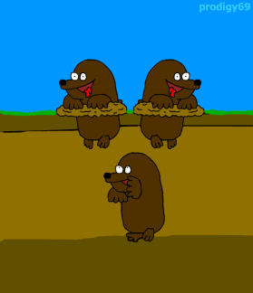 moleasses.gif
