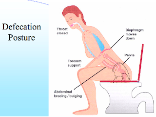 Defecation.png