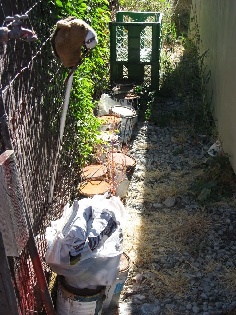 IMG_1998.jpg