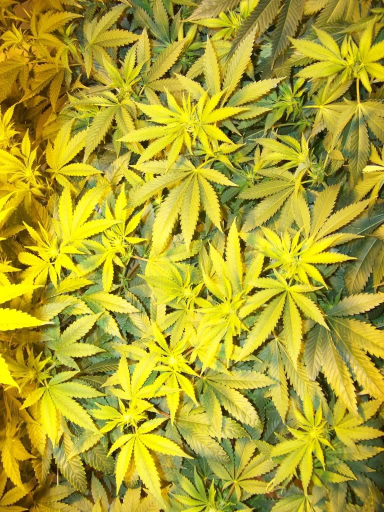 100_2484.jpg