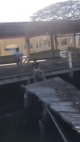 1657141940_4.gif