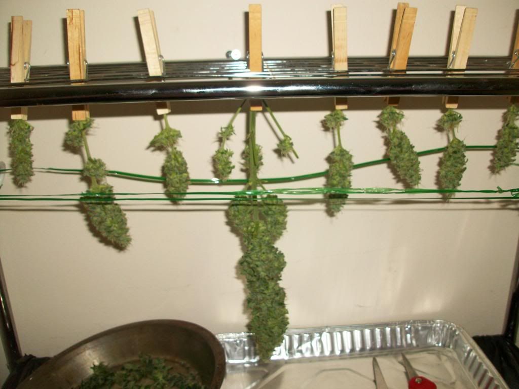 100_4876.jpg