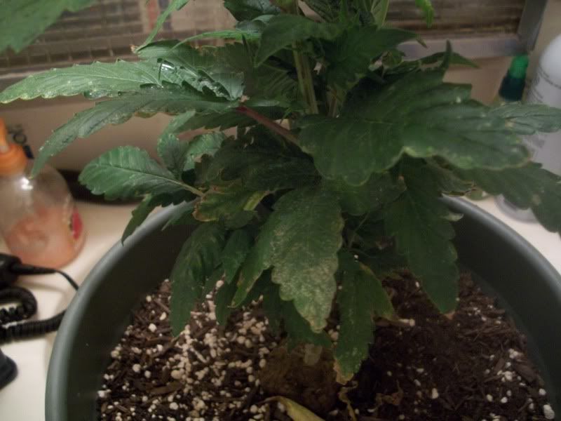 100_0789.jpg
