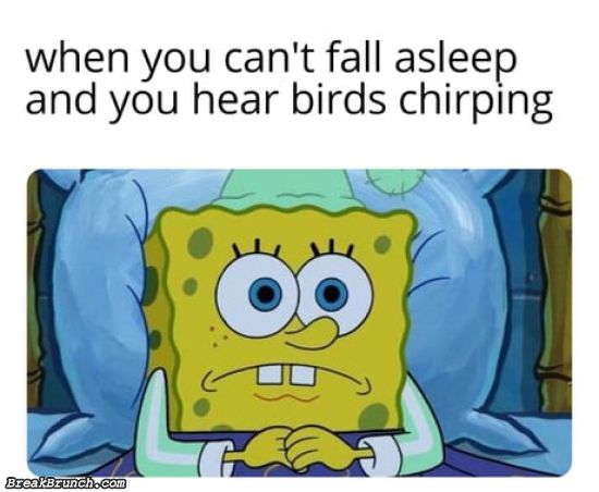 funny-meme-5eb83f8f0f596123d.jpg