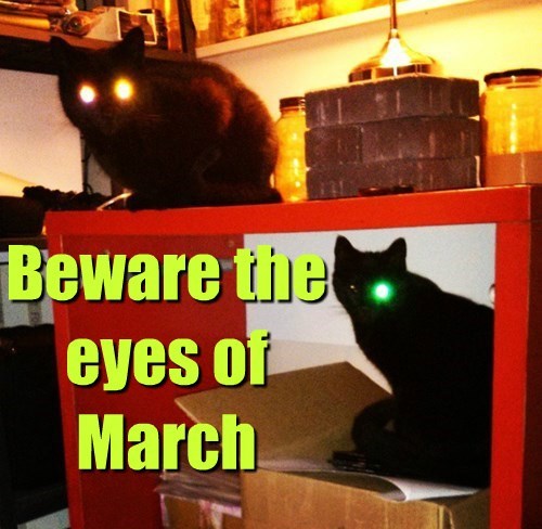 beware-the-eyes-of-march