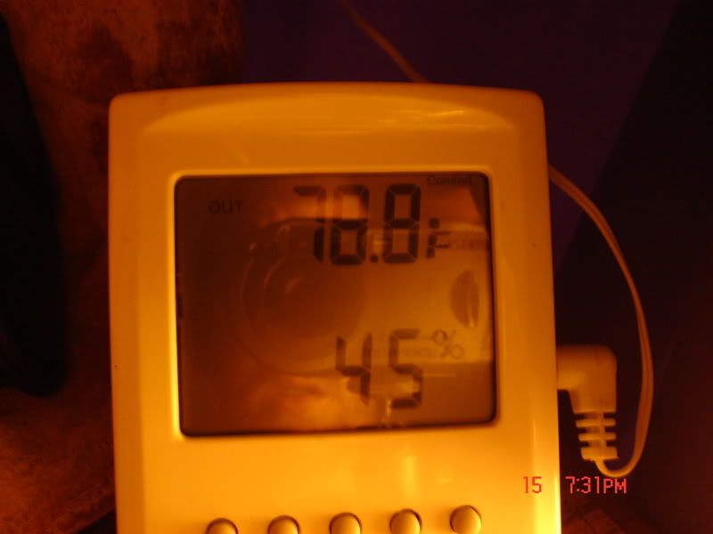 Picture-2.jpg