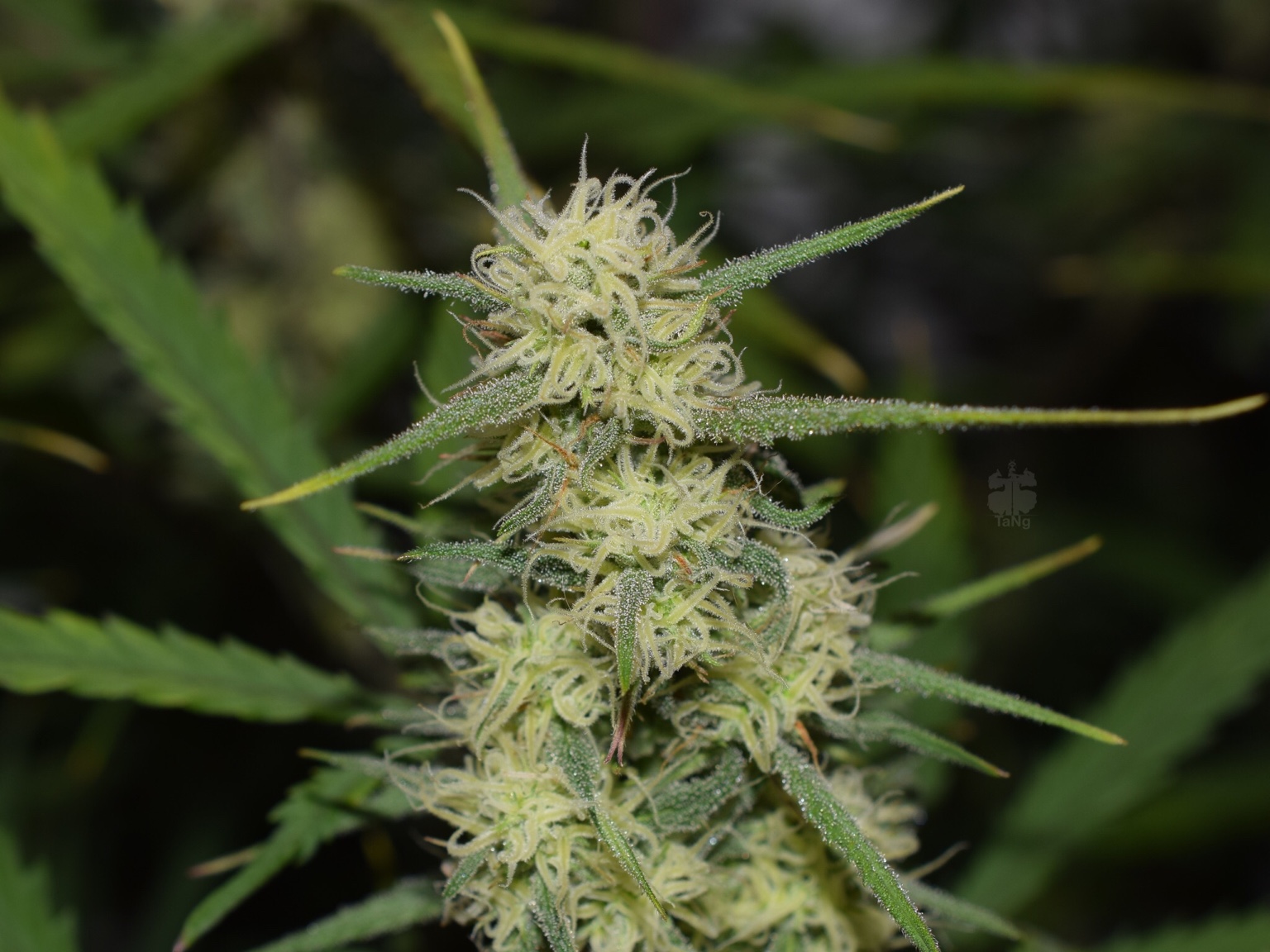 5b60cbd6fef36e1a3cc58cfdb9960d9d.jpg