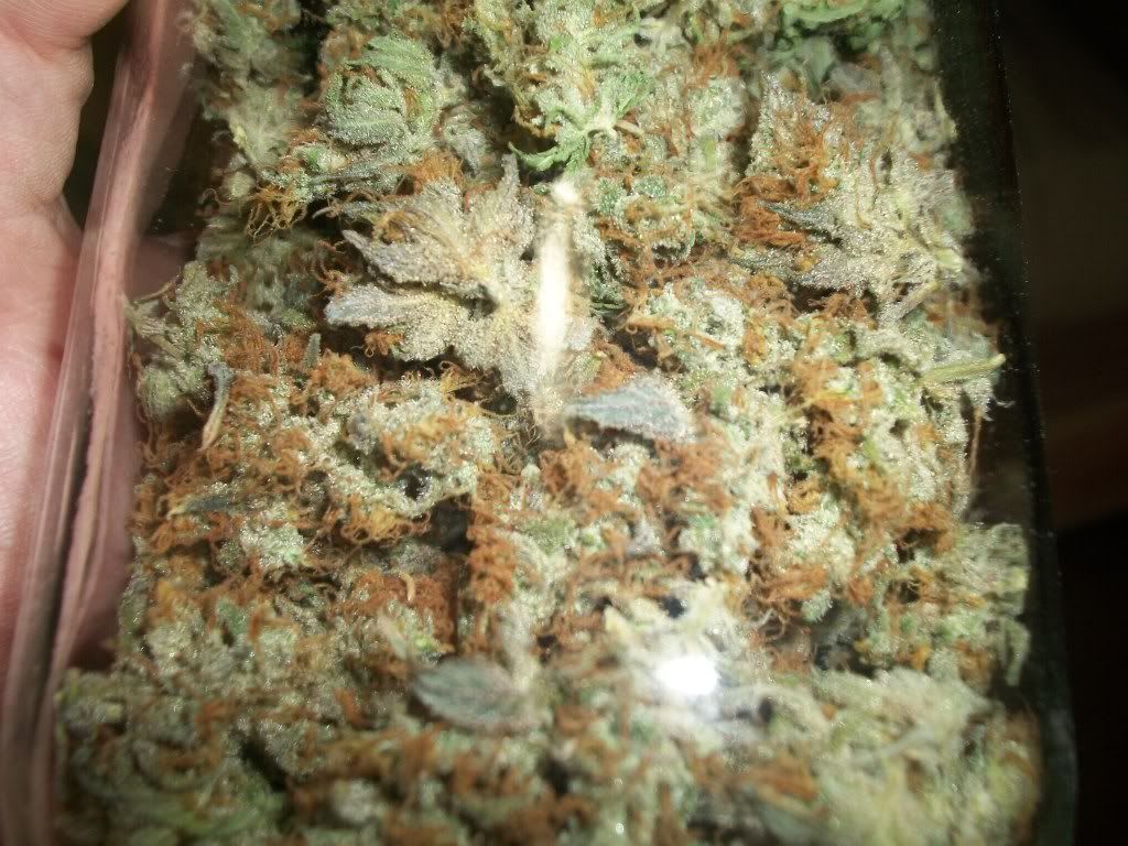 11-21-11069.jpg