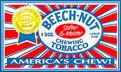 ct_beech_nut.jpg