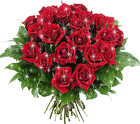 a13ae9163431d33b8aeca172f2cfab72.gif