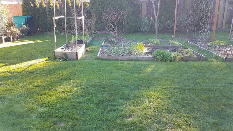 lawn21222.jpg
