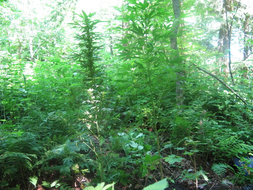 IMG_1365.jpg