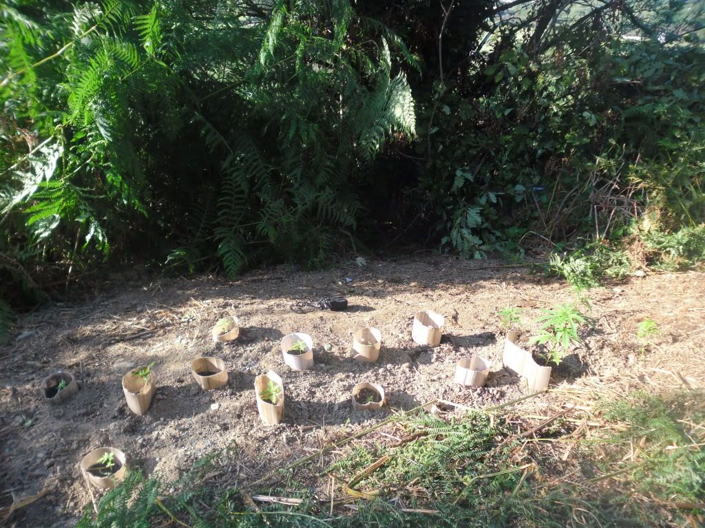 g011.jpg