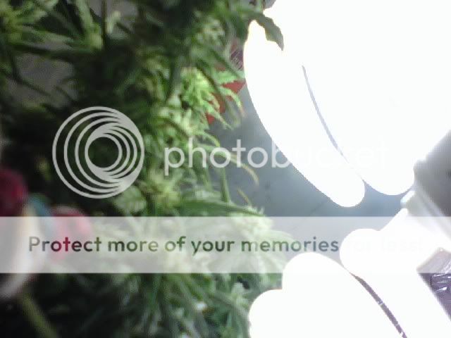 0805081056.jpg
