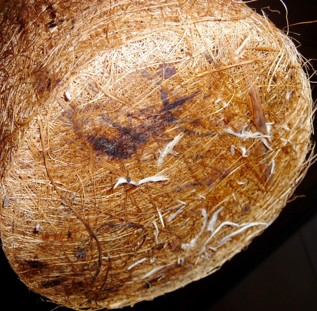 P1050291.jpg