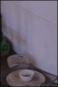 I7eddW9.gif