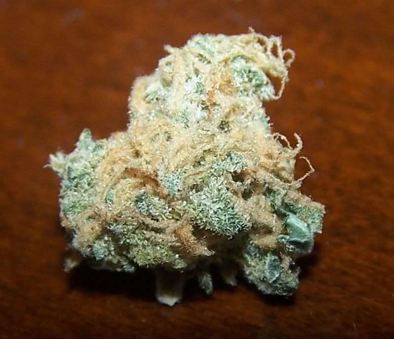 KUSH-swweettooth.jpg